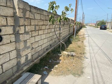 yaşmada torpaq qiymeti: 2 sot, Mülkiyyətçi, Kupça (Çıxarış)