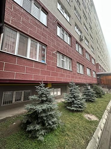 Продажа квартир: 2 комнаты, 45 м², Элитка, 1 этаж, Косметический ремонт — 27