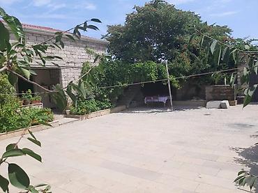 Həyət evi alıram: - Geniş, daşla döşənmiş həyət: yaşıl ağaclar, gül kolları, hasarlı — 6