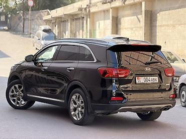 льва: Kia Sorento: 2019 г., 2 л, Автомат, Дизель, Кроссовер — 6