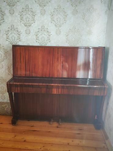 Музыкальные инструменты: Belarus (Беларусь) akustik pianino – upright model - Korpus: klassik — 5