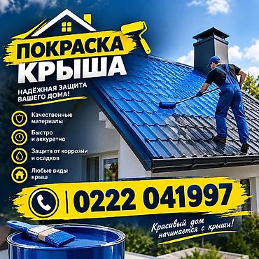 Покраска крыш — надёжная защита вашего дома - Профессиональная