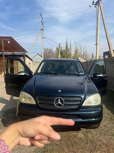 Mercedes-Benz: Mercedes-Benz M-Class: 2003 г., 3.2 л, Бензин, Внедорожник — 5