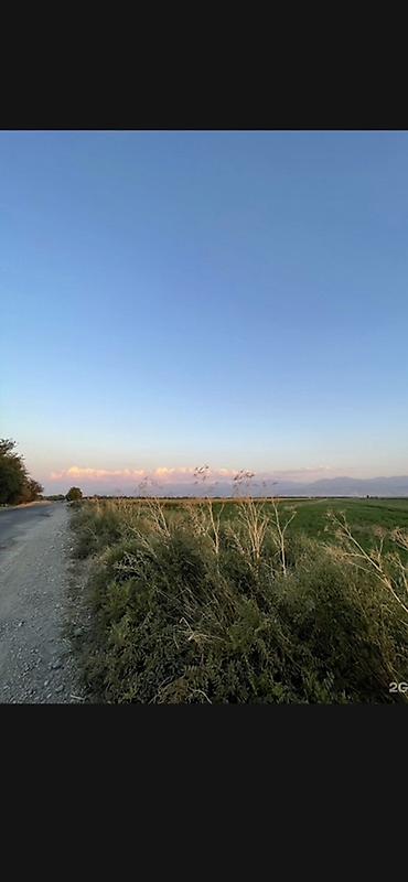 Продажа коттеджей и домов: 📌СРОЧНО ПРОДАЕТСЯ ДОМ с готовым БИЗНЕСОМ 🔥🔥🔥 🟡 ДОМ + МАГАЗИН +БАНЯ + — 25