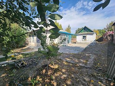 Үйлөр: 4 бөлмө, 54 м², 8 соток, Беловодское, Менчик ээси — 3