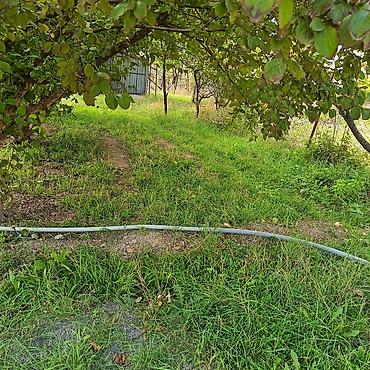 Torpaq sahələrinin satışı: 24 sot — 4