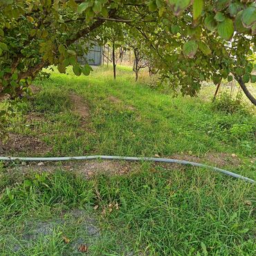 Torpaq sahələrinin satışı: 24 sot, Kənd təsərrüfatı -da lalafo.az — 5 Torpaq sahələrinin satışı: 24 sot, Kənd təsərrüfatı — 5