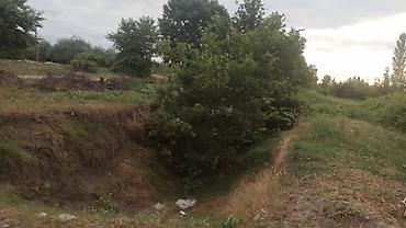 cilə dağı: 204 sot, Kənd təsərrüfatı, Mülkiyyətçi, Kupça (Çıxarış) — 6