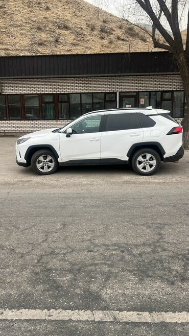Toyota: Toyota RAV4: 2019 г., Гибрид, Кроссовер — 8