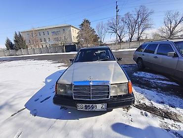 Mercedes-Benz: Mercedes-Benz W124: 1988 г., 2 л, Механика, Дизель, Седан — 1
