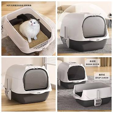 Зоотовары: Продаю когтеточку/лежанку 2в1,с кошачей мятой,вашему котику будет чем — 19