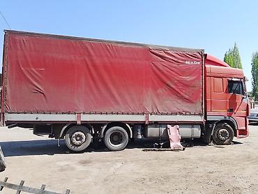Грузовики: Грузовик, DAF, Стандарт, Б/у — 16