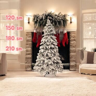 Yeni il ağacları: Yolkalar 60-300sm Hər qiymete var whatsappdan yazin olcusun ve — 3