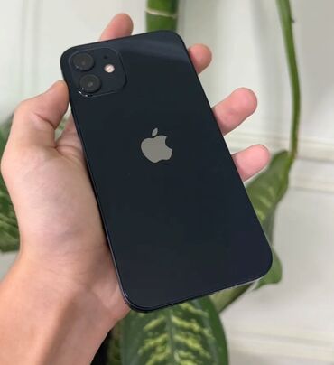 ipod classic купить: IPhone 12, Черный