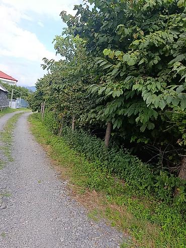 nardaran torpaq satilir: 14 sot, Kupça (Çıxarış) — 2