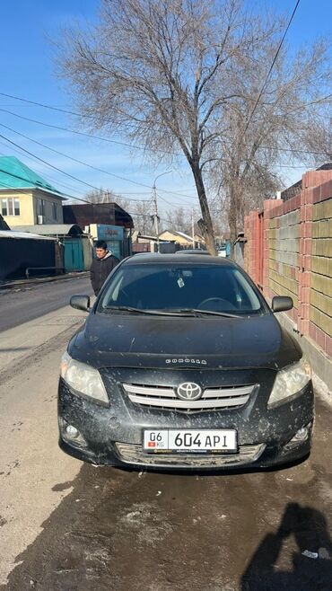 бричка араба: Toyota Corolla: 2008 г., 1.6 л, Автомат, Бензин, Седан