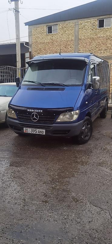 гурзо: Mercedes-Benz Спринтер: 2005 г., 2.7 л, Автомат, Бус — 3