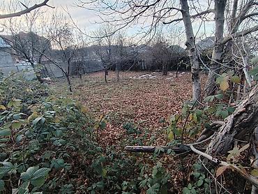 Torpaq sahələrinin satışı: 3 sot, Tikinti, Mülkiyyətçi, Kupça (Çıxarış) — 2