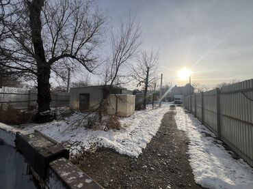 Продажа участков: 24 соток, Красная книга at lalafo.kg — 2 Продажа участков: 24 соток, Красная книга — 2