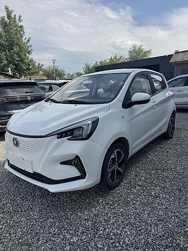 chang: Changan Benben E-Star: 2024 г., Автомат, Электромобиль, Хэтчбэк — 3