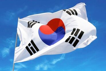 Туристические услуги: Помощь в получении Визы в Корею бизнес визы туристические визы