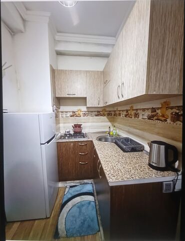 Günlük kirayə mənzillər: 1 otaqlı — 20