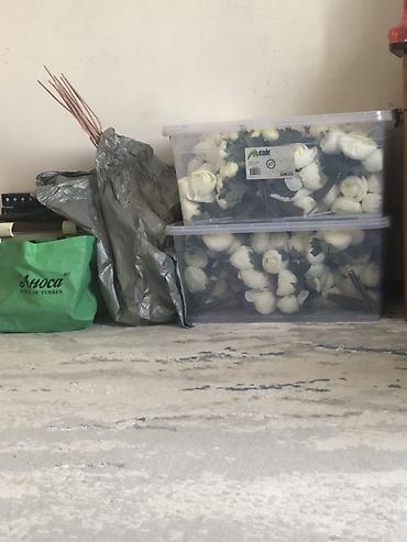 Фотобутофория: Неоновая композиция для предложения/помолвки “I SAID YES” - Световой — 6