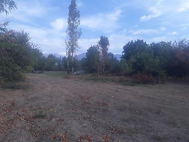 Torpaq sahələrinin satışı: 40 sot, Tikinti, Mülkiyyətçi, Kupça (Çıxarış) — 11