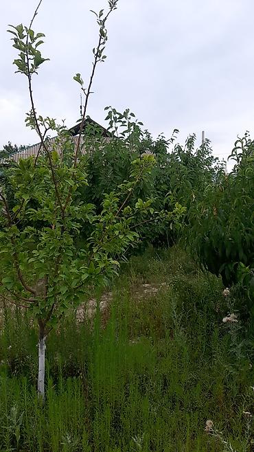 СБоздон 16 сотых уй сатылат. бак дарагы бар суулуу жакшы жер