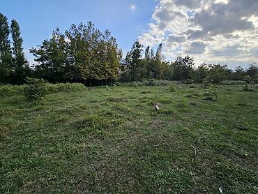 6 mikrorayon: 12 sot, Tikinti, Maklerlər narahat etməsin, Kupça (Çıxarış) — 1