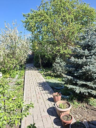 Продажа домов: 🏡 Дом, где начинается ваше новое счастье… Просторный и уютный дом — 5