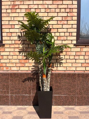 Декоративные цветы: Искусственные деревья и цветы — долговечный и стильный декор без at lalafo.kg — 8 Декоративные цветы: Искусственные деревья и цветы — долговечный и стильный декор без — 8