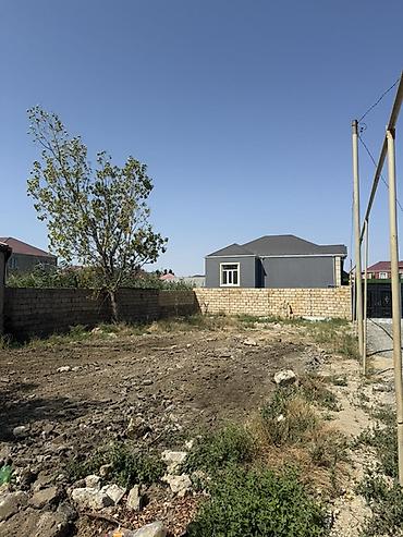 3 sot torpaq: 3 sot, Tikinti, Mülkiyyətçi, Kupça (Çıxarış) — 6