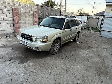 Subaru: Subaru Forester: 2004 г., 2.5 л, Автомат, Бензин, Универсал — 8