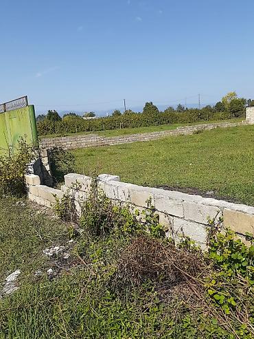 balaxanida torpaq: 6 sot, Tikinti, Mülkiyyətçi, Kupça (Çıxarış) — 1