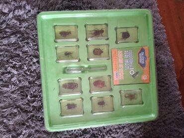модельки ссср: Продам коллекцию насекомых в стекле лупа есть насекомые из разных
