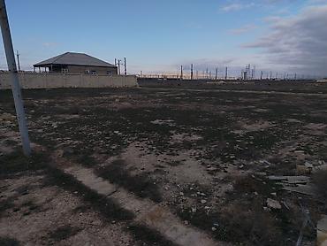 Torpaq sahələrinin satışı: Tikinti, Kupça (Çıxarış) — 2