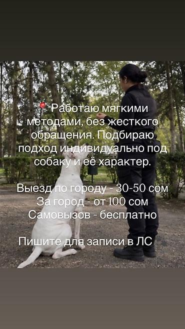 кане корс: Формирование послушания и управляемости собак | Бишкек — 7