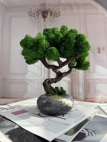 Декоративные цветы: В переводе с японского Бонсай означает «дерево, выращенное в блюде» at lalafo.kg — 22 Декоративные цветы: В переводе с японского Бонсай означает «дерево, выращенное в блюде» — 22