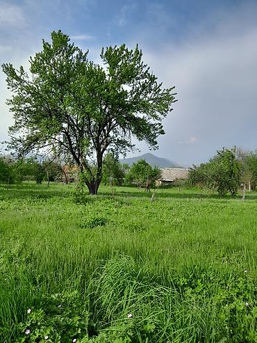 Torpaq sahələrinin satışı: Tikinti — 2