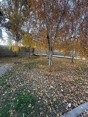 кызыл кия кыз: 100 соток, Кызыл китеп, Техпаспорт — 2