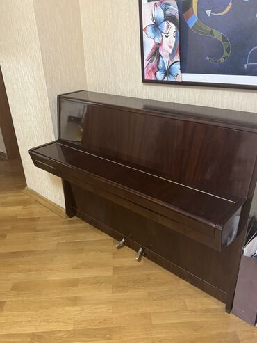 Akkordeonlar: Piano, Petrof, Akustik, İşlənmiş, Ünvandan götürmə