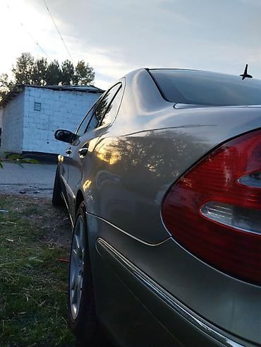 мд регион: Mercedes-Benz E-Class: 2003 г., 3.2 л, Автомат, Бензин, Седан — 6