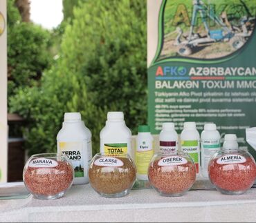 balakən toxum mmc: Məhsul: Taxıl toxumları və bitki qidalanma vasitələri Təsvir: -