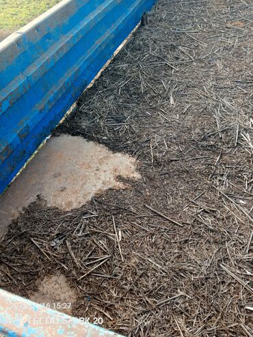 Traktorlar: Traktor Belarus (MTZ) 42, 1988 il, 42 at gücü, motor 4.2 l, İşlənmiş — 6