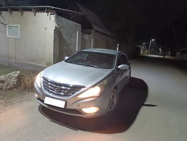 ауди а 6 борода: Hyundai Sonata: 2010 г., 2 л, Автомат, Газ, Седан