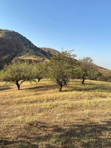 село кашка баш: 1700 соток, Для бизнеса, Договор купли-продажи