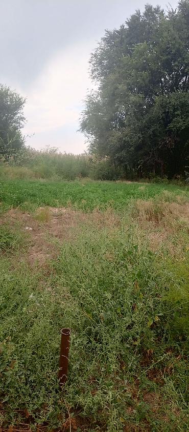 Продажа коттеджей и домов: 🏡 ПРОДАЁТСЯ 4-КОМНАТНЫЙ ДОМ В С. ОКТЯБРЬСКОЕ (КАРЛА-МАРКС) 25 СОТОК 📍 — 14
