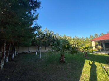 Həyət evləri və villaların satışı: Şüvəlan qəs. 3 otaqlı, 115 kv. m, Yeni təmirli -da lalafo.az — 6 Həyət evləri və villaların satışı: Şüvəlan qəs. 3 otaqlı, 115 kv. m, Yeni təmirli — 6