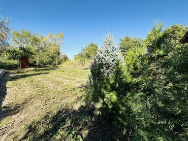 Продажа домов: Дом, 69 м², 4 комнаты, Собственник, Косметический ремонт — 4